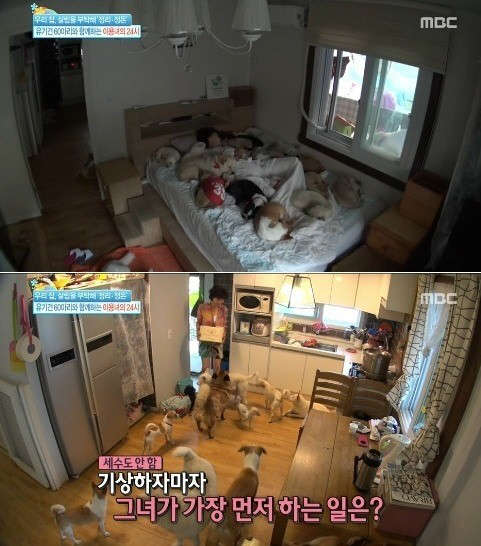 사진=mbc '기분 좋은날' 방송 영상 캡처